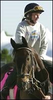 Three Scratched from Breeders' Cup Three Scratched from Breeders' Cup