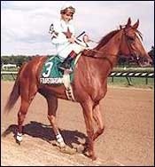 Fourstardave To Be Buried at Saratoga Fourstardave To Be Buried at Saratoga