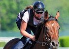 Can Big Brown break the 30-year drought since racing has had a Triple Crown winner?<br><a target="blank" href="http://www.bloodhorse.com/horse-racing/photo-store?ref=http%3A%2F%2Fpictopia.com%2Fperl%2Fgal%3Fprovider_id%3D368%26ptp_photo_id%3D4758163%26ref%3Dstory">Order This Photo</a>