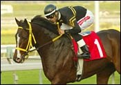 Team Valor's Omega Code Zips in First Work Team Valor's Omega Code Zips in First Work