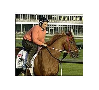 Lawyer Ron may be forced to abstain from Preakness challenge.