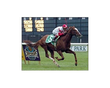 Kitten's Joy made a Euro-type late move to win the Joe Hirsch Turf Classic.