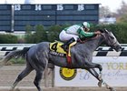 Lookin at Her, who took the Great White Way Stakes, was one of two winners for his sire Hook and Ladder in the New York Stallion Stakes series.