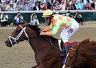 Dame Dorothy is scheduled to make her first start since winning the Humana Distaff on May 2.<br><a target="blank" href="http://photos.bloodhorse.com/AtTheRaces-1/At-the-Races-2015/i-xH5r4Kk">Order This Photo</a>