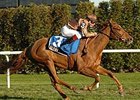 Dalvina's win in the Long Island Handicap (gr. IIIT) was her American racing debut.<br><a target="blank" href="http://www.bloodhorse.com/horse-racing/photo-store?ref=http%3A%2F%2Fpictopia.com%2Fperl%2Fgal%3Fprovider_id%3D368%26ptp_photo_id%3D2751452%26ref%3Dstory">Order This Photo</a>