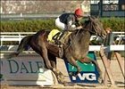 Boca Grande Takes Big Step Forward With Demoiselle Win Boca Grande Takes Big Step Forward With Demoiselle Win