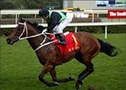 Silent Witness, has 15 straight wins to his credit.