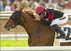Bedlam Bertie and jockey David Flores never looked back as they won the Sensational Star Handicap, Sunday at Santa Anita.