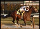 Saratoga Notebook: Jim Dandy Taking Shape; Easyfromthegitgo's Plans Undetermined; Miller Thrown Again Saratoga Notebook: Jim Dandy Taking Shape; Easyfromthegitgo's Plans Undetermined; Miller Thrown Again