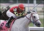 Beautiful Bets (8) wins the Kentucky Cup Distaff, Saturday at Turfway Park.