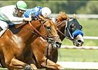 Chandtrue Still Perfect After Juvenile Sweep Chandtrue Still Perfect After Juvenile Sweep