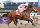 Multiple graded stakes winner Kodiak Kowboy heads the Churchill Downs Stakes field.<br><a target="blank" href="http://www.bloodhorse.com/horse-racing/photo-store?ref=http%3A%2F%2Fpictopia.com%2Fperl%2Fgal%3Fprovider_id%3D368%26ptp_photo_id%3D7980337%26ref%3Dstory">Order This Photo</a>