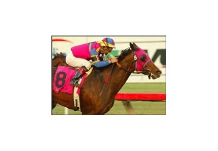 Hollywood Story wins the Bayakoa Handicap, Sunday at Hollywood Park.