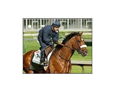 Peter Brette, assistant to trainer Michael Matz, maintains his composure through triumph and tragedy.