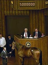 Riskaverse Sells for $5 Million to Top Fasig-Tipton November Auction Riskaverse Sells for $5 Million to Top Fasig-Tipton November Auction