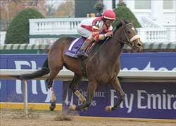 Distaff Winner Round Pond Injured, Retired Distaff Winner Round Pond Injured, Retired