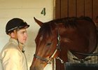 Havelock and exercise rider Chase Miller