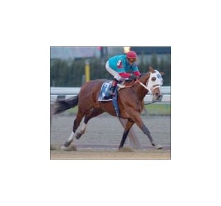 Toccet, among favorites for Hollywood Futurity.