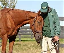 Hall of Famer Precisionist Euthanized Hall of Famer Precisionist Euthanized