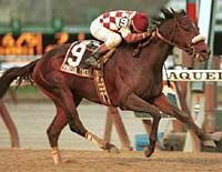 Remsen Winner Windsor Castle Acquired by Dogwood Remsen Winner Windsor Castle Acquired by Dogwood