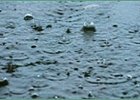Friends Lake Slogs Five Furlongs in 1:03 Friends Lake Slogs Five Furlongs in 1:03