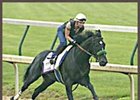 War Emblem, breezing at Churchill Downs Wednesday in preparation for the Belmont Stakes.