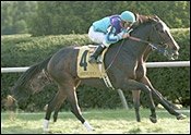 Lapuma Upsets Volga in Dowager Stakes Lapuma Upsets Volga in Dowager Stakes