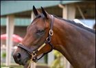 Browning, a filly by Jump Start, was the sales topper in the opening session of the OBSC Sale.