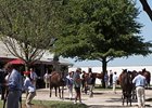 Yes It's True Colt Tops Keeneland Session Yes It's True Colt Tops Keeneland Session