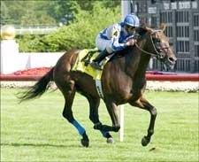 Lattice Works Late to Win American Derby Lattice Works Late to Win American Derby