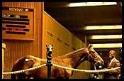 Keeneland Rebounds in Second Session, But Overall Average Down 31.4% Keeneland Rebounds in Second Session, But Overall Average Down 31.4%