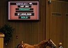 Camargue was purchased for $1,650,000 during the Nov. 8 session of the Keeneland November Breeding Stock Sale.
