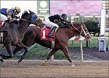 Win Machine Aggadan Takes Pimlico's Jennings Win Machine Aggadan Takes Pimlico's Jennings