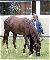 Smarty Jones May Return in Haskell; Pa. Derby On Tap Smarty Jones May Return in Haskell; Pa. Derby On Tap
