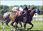 Multiple Choice, right, outruns Dedication to capture the Jaipur Stakes, Sunday at Belmont Park.