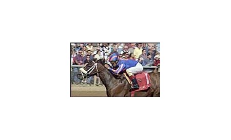 Smooth Jazz wins the Commonwealth Breeders' Cup.