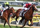 Helmet Heads Aussie Prize Cox Plate Helmet Heads Aussie Prize Cox Plate