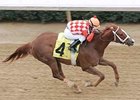 Just Jenda will face nine in the Monmouth Breeders' Cup Oaks.