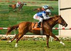 Meteore pulls away in the La Jolla.<br><a target="blank" href="http://www.bloodhorse.com/horse-racing/photo-store?ref=http%3A%2F%2Fpictopia.com%2Fperl%2Fgal%3Fprovider_id%3D368%26ptp_photo_id%3D8407703%26ref%3Dstory">Order This Photo</a>