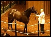 Xtra Heat Bought Back at $1.7 Million Xtra Heat Bought Back at $1.7 Million