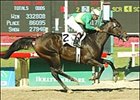 Star Parade wins Milady Breeders' Cup Handicap, Sunday at Hollywood Park.