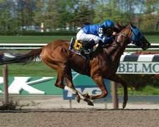 Utopia Wins Rough Westchester in U.S. Debut Utopia Wins Rough Westchester in U.S. Debut
