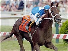 Peter Pan Could Produce Rivals for Smarty Peter Pan Could Produce Rivals for Smarty