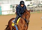 Sidney's Candy is the 5-1 second choice for the Kentucky Derby.<br><a target="blank" href="http://www.bloodhorse.com/horse-racing/photo-store?ref=http%3A%2F%2Fpictopia.com%2Fperl%2Fgal%3Fprovider_id%3D368%26ptp_photo_id%3D8934506%26ref%3Dstory">Order This Photo</a>