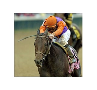 Is Don't Get Mad in Derby picture after impressive 'Trial win?