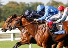 Poet's Voice, near (light blue) gets his nose in front of Rip Van Winkle to win the Queen Elizabeth II Stakes.<br><a target="blank" href="http://www.bloodhorse.com/horse-racing/photo-store?ref=http%3A%2F%2Fpictopia.com%2Fperl%2Fgal%3Fprovider_id%3D368%26ptp_photo_id%3D9204877%26ref%3Dstory">Order This Photo</a>