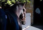 Day Eight Continues Strong at Keeneland.