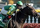 Unbridled Sidney Retired Unbridled Sidney Retired