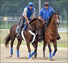 Smarty Returns to the Track; Final Days With Butterscotch Smarty Returns to the Track; Final Days With Butterscotch