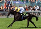 Longshot Perfect Shower shocked the best 3-year-olds in Canada when he scored a three-quarters of a length win in the Breeders' Stakes over the Woodbine turf.